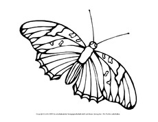 Ausmalbild-Schmetterling 9.pdf